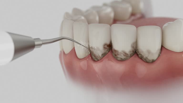 Reliable Dental contractor in Scott, LA by Dentist Open Now